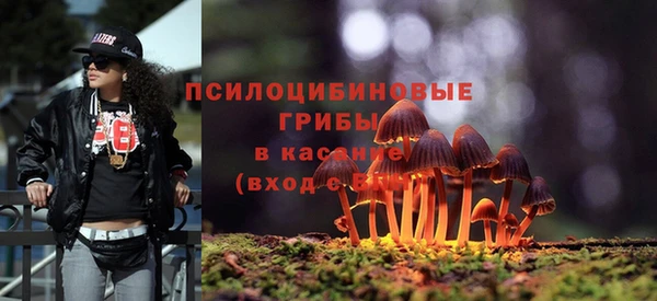 трава Абаза