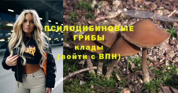 бошки Абинск
