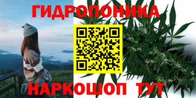 шишки Кунгур