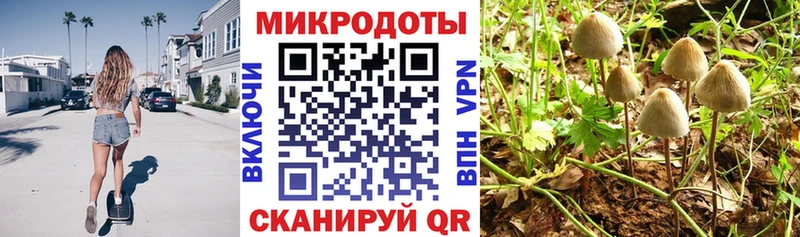 магазин    Зеленогорск  Галлюциногенные грибы мухоморы 