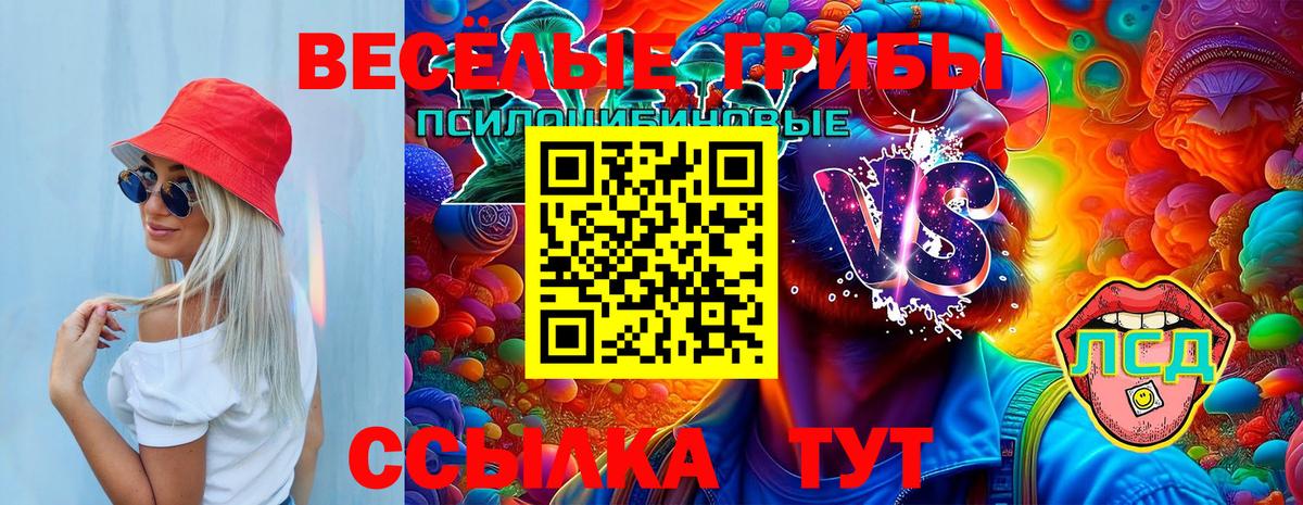 Псилоцибиновые грибы Magic Shrooms  Вход с VPN  Зеленогорск 